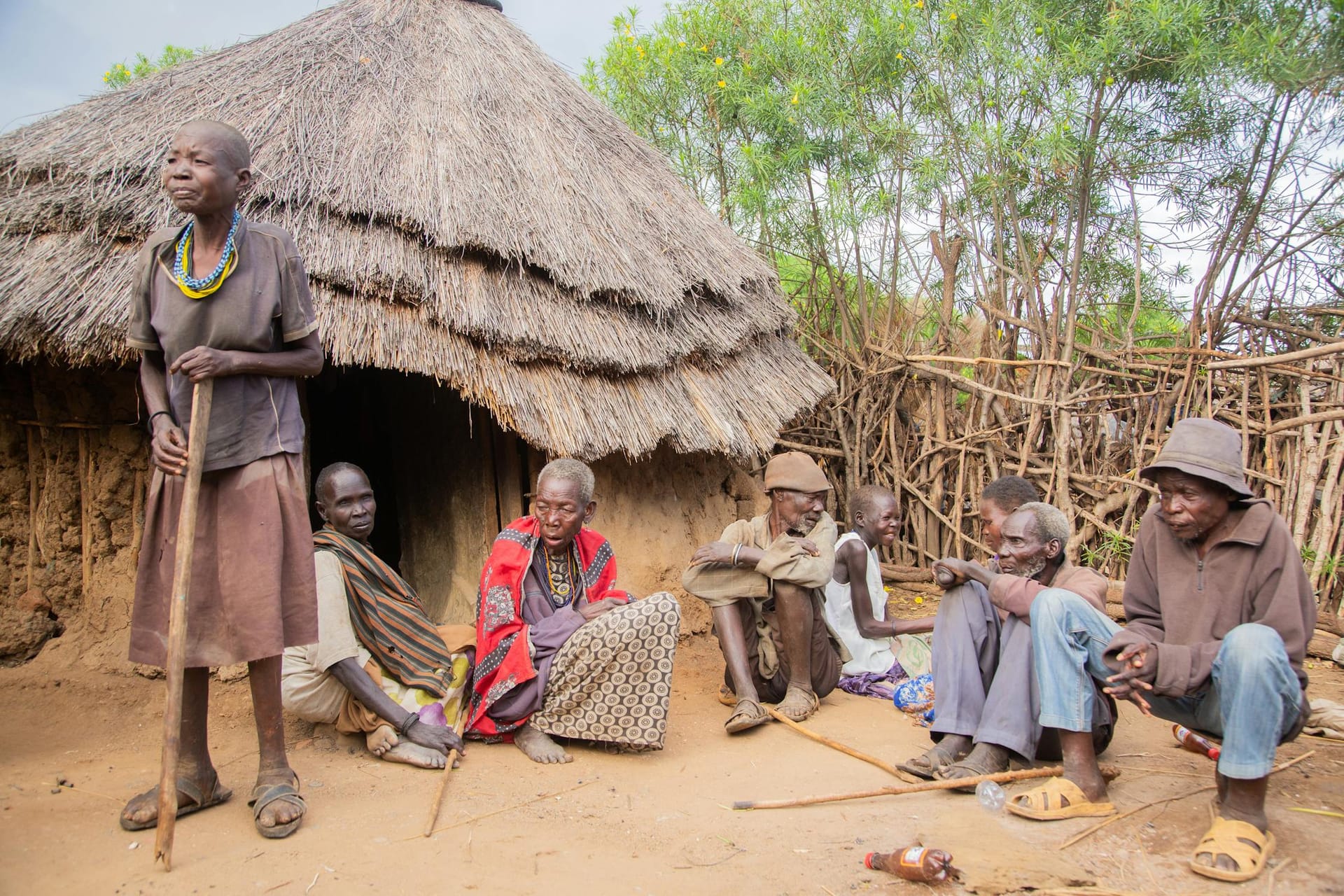 The Impact of Aging on Oral Health in Rural Areas — DentalKing Software