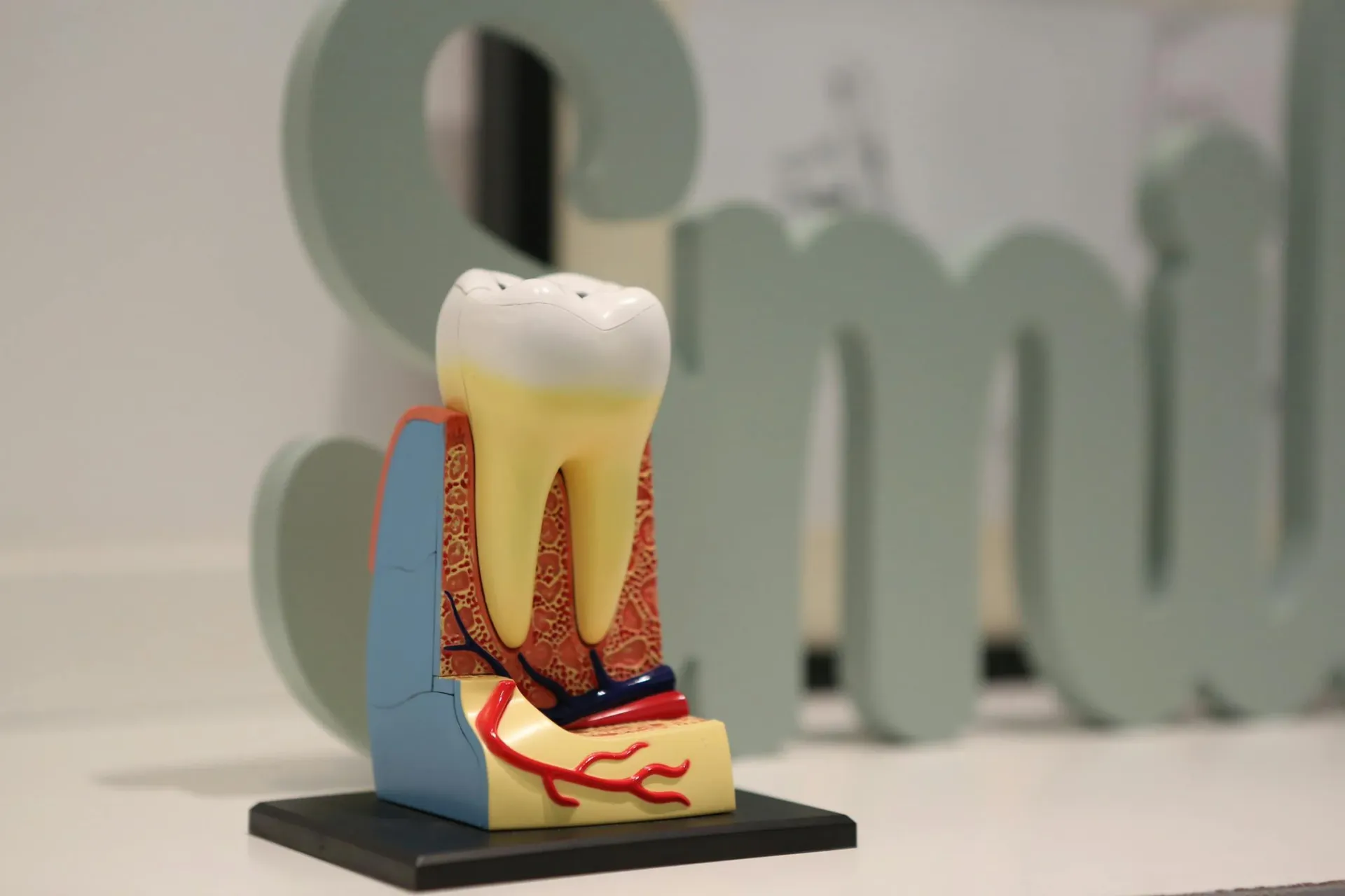 Gum Disease: The Silent Threat to Your Smile — DentalKing Software