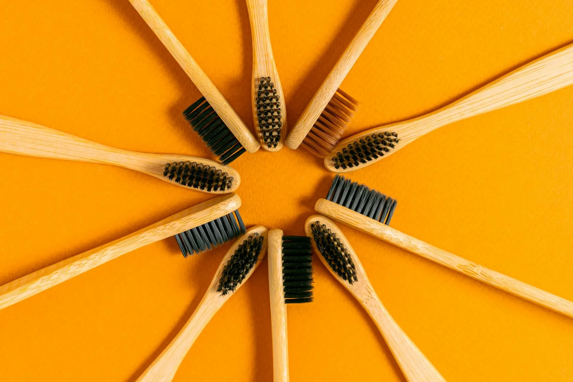 How to Choose the Right Toothbrush: A Guide to Optimal Oral Health — DentalKing Software